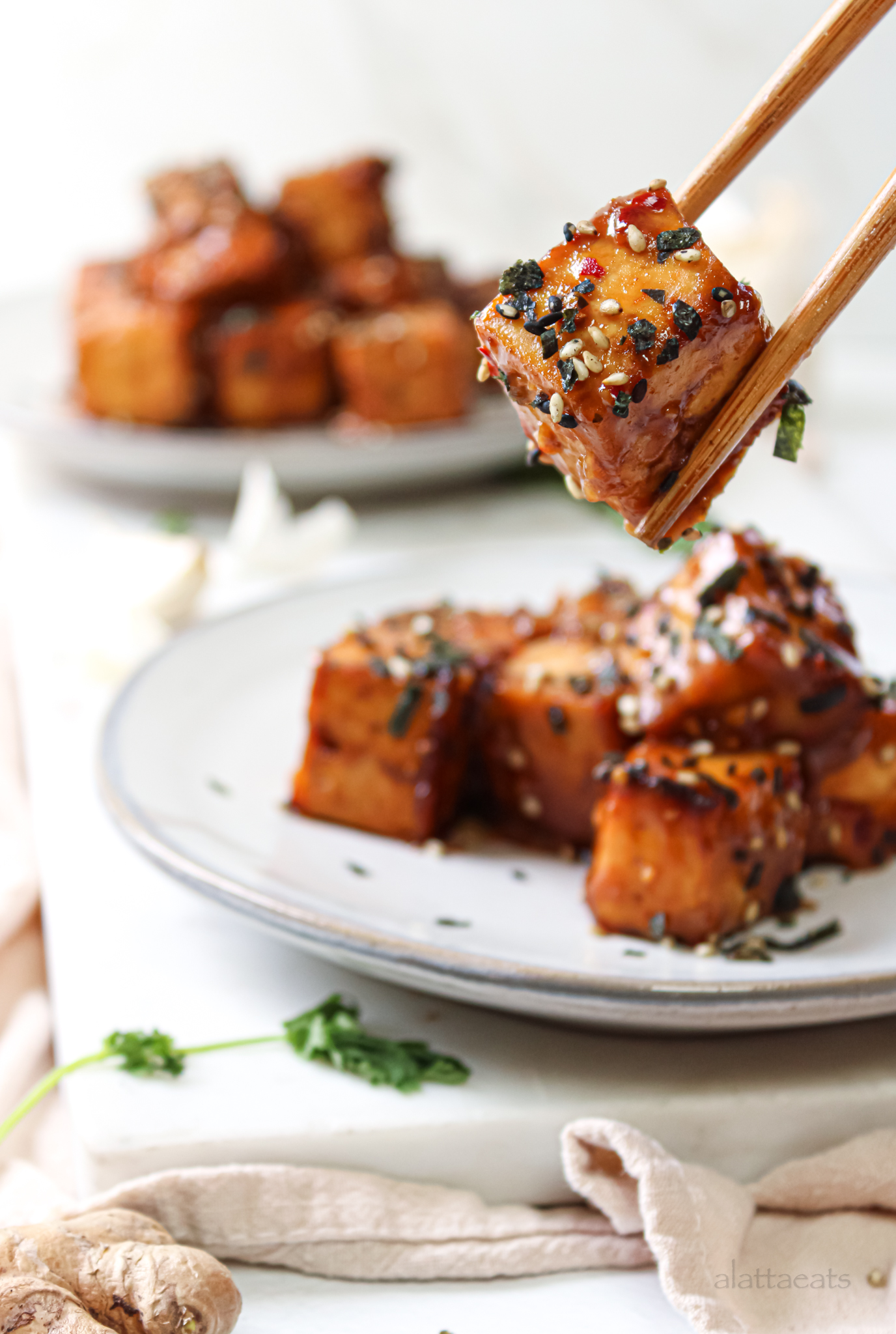 Teriyaki-Inspired Tofu
